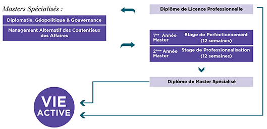 Schéma Organisation des études